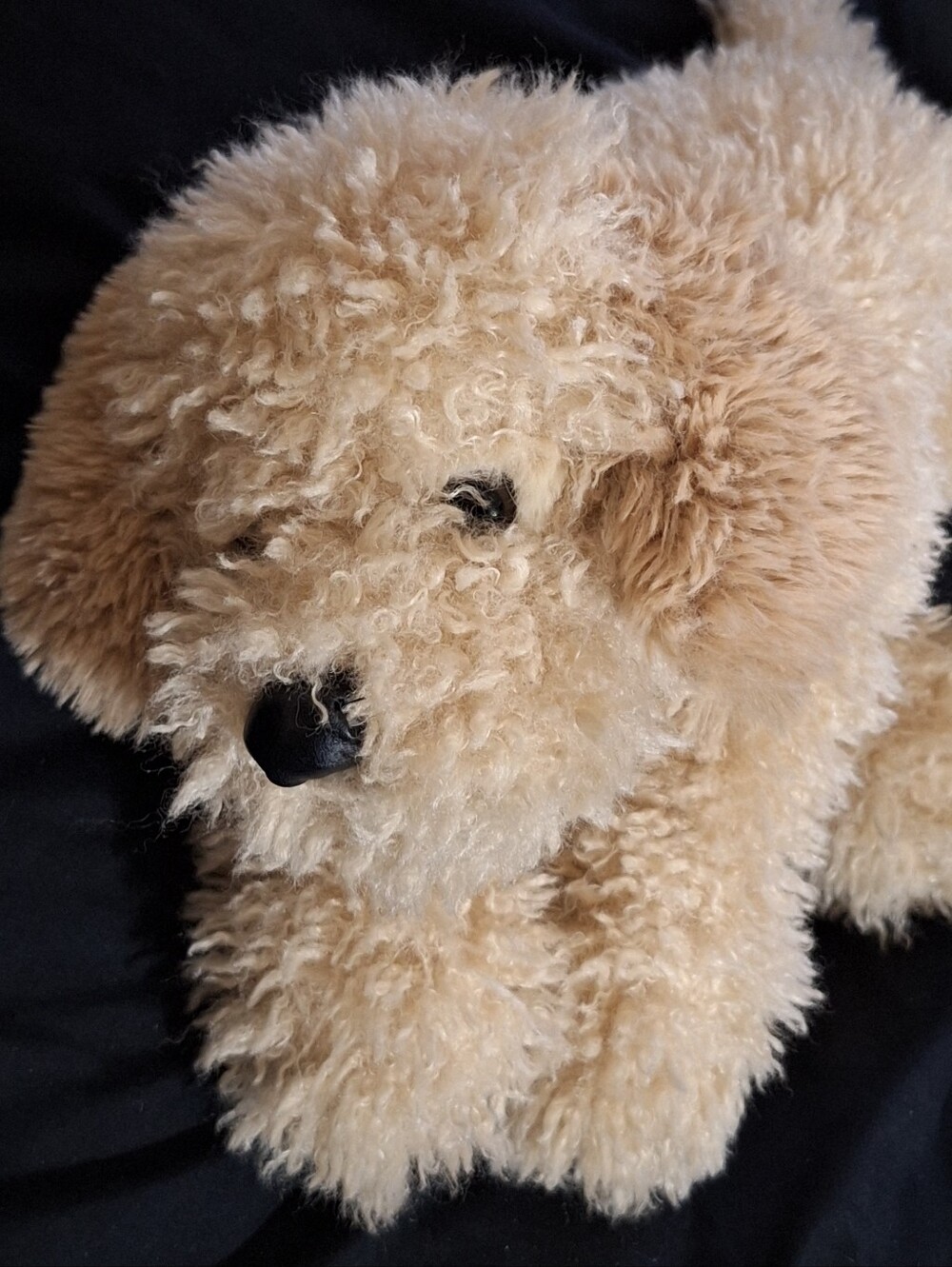 FAO Schwarz Adopt a Pet Curly Plush Squishy Cockapoo Puppy Dog Toby 15" - Picture 2 of 8